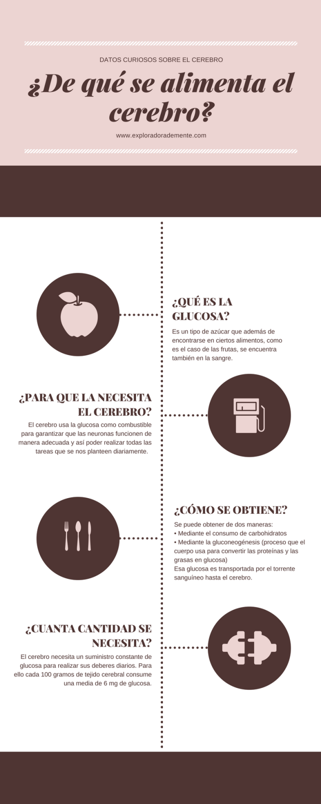 Infografia DE QUE SE ALIMENTA EL CEREBRO